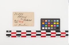 Etiketten zu Perlenkette (NHMW-PRAE-024889)